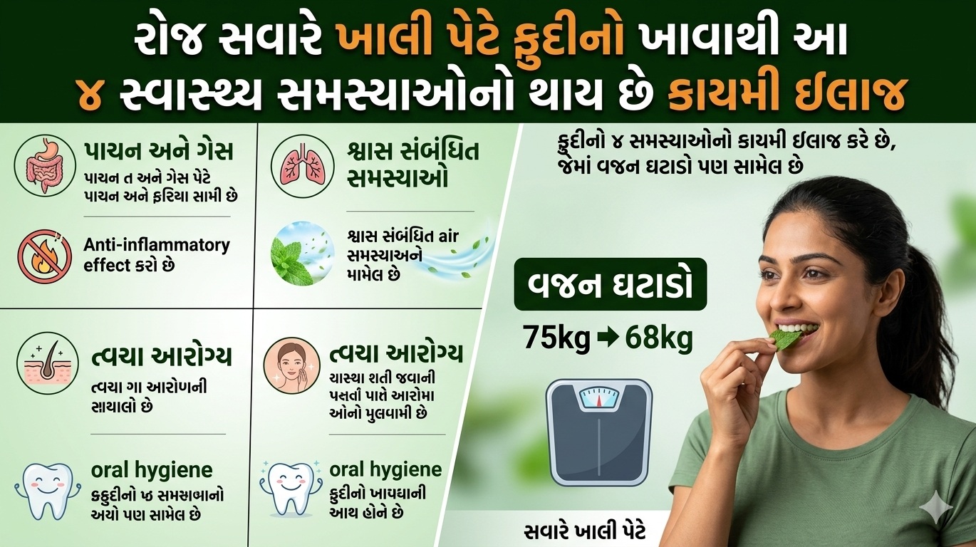 Benefits Of Chewing Mint Leaves On Empty Stomach Digestion And Weight Loss : Health Tips: સવારે ખાલી પેટે કેમ ચાવવા જોઈએ ફુદીનાના પાન? જાણો ૪ અદ્ભુત ફાયદા