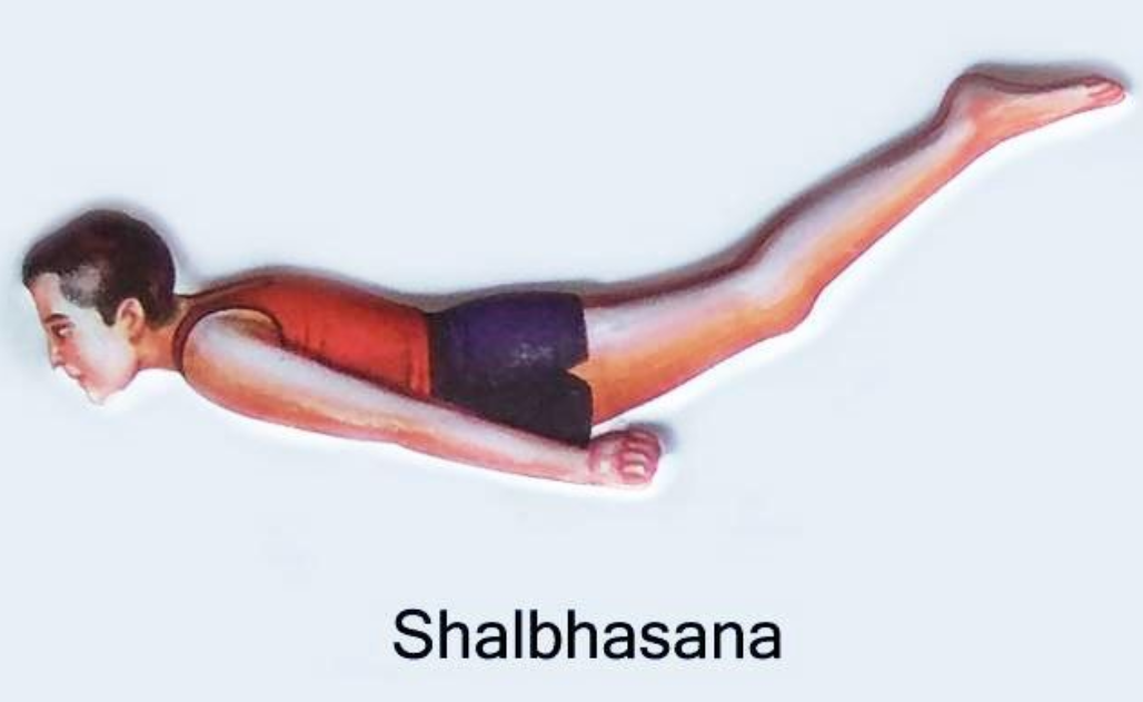 Shalbhasan International Yoga day