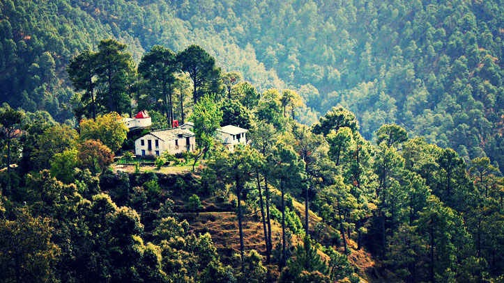 બિનસર Binsar Uttarakhand, tourist destination , Janmashtmi weekend , Janmashtami Holiday and Mini Vaction Trip Plan , ક્યાં ફરવા જવુ?