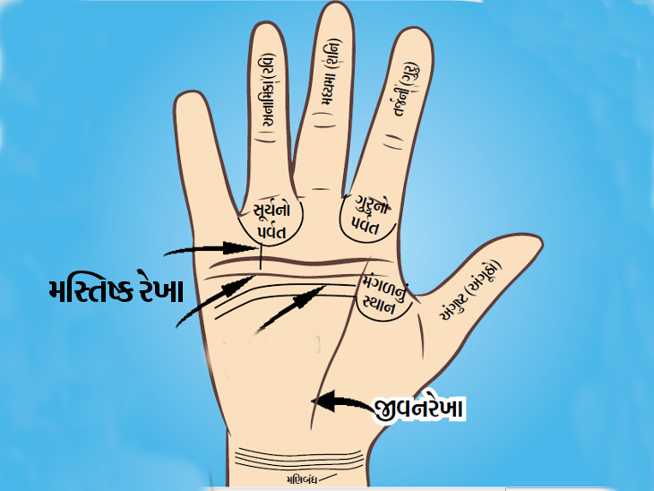 palm read
