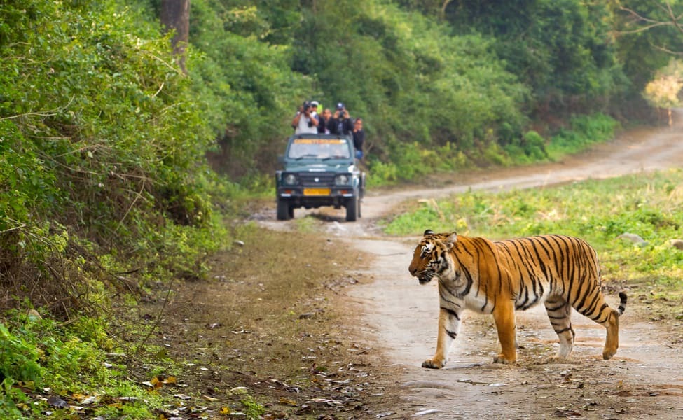 જિમ કોર્બેટ નેશનલ પાર્ક , Jim Corbett National Park ,  tourist destination , Janmashtmi weekend , Janmashtami Holiday and Mini Vaction Trip Plan , ક્યાં ફરવા જવુ?