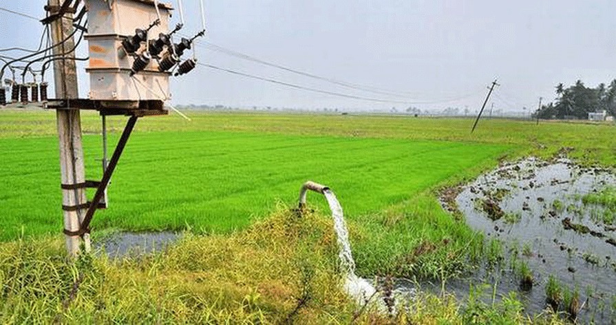 Gujarat Agriculture News vijli 10 hour